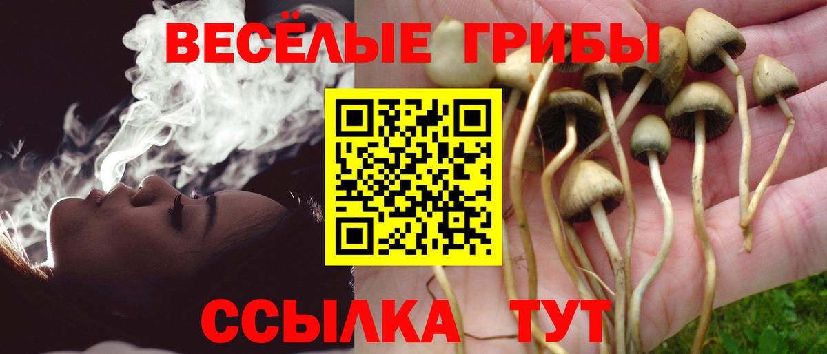 Псилоцибиновые грибы прущие грибы  Вход с VPN  Светлоград 
